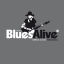 Vizuální styl: Blues Alive